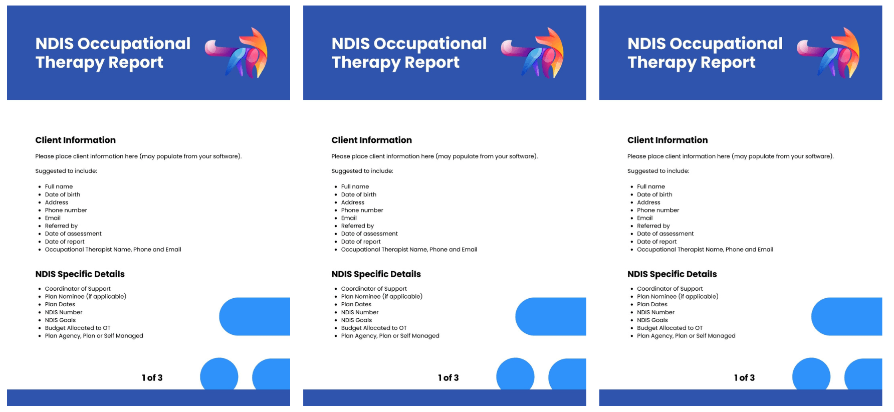 occupational therapy home visit report template
